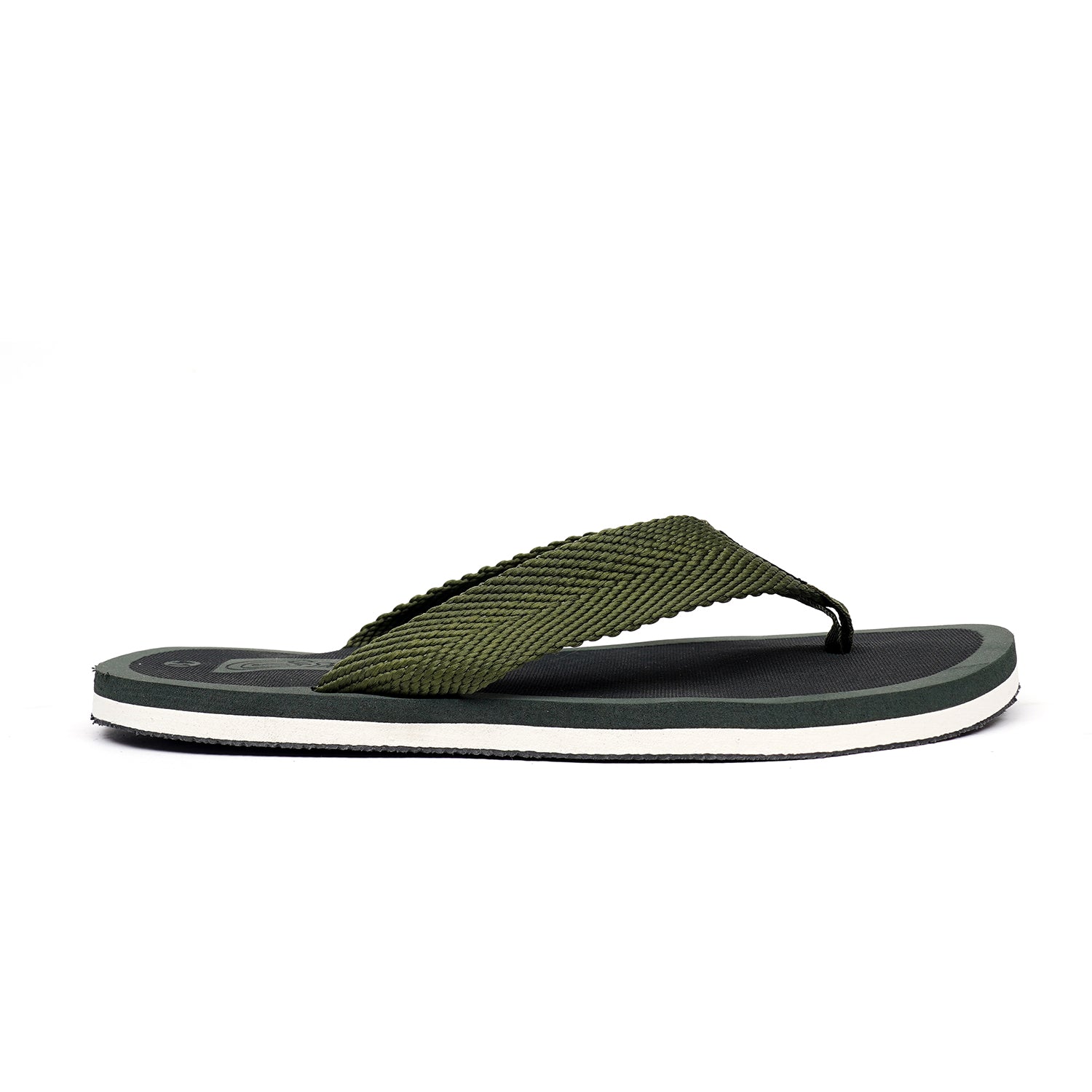 CXG-0003 OLIVE