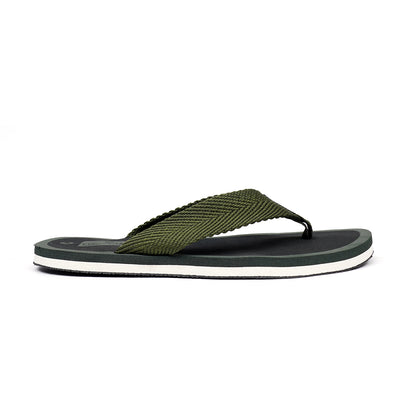 CXG-0003 OLIVE
