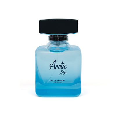 Arctic Rush